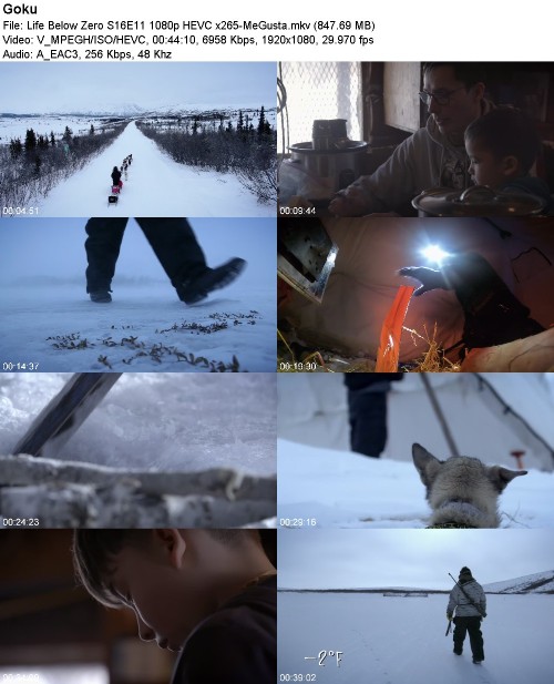 299984099_life-below-zero-s16e11-1080p-hevc-x265-megusta.jpg