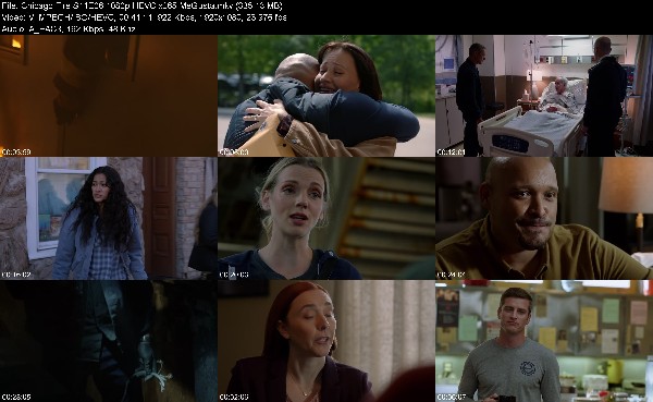 316386117_chicago-fire-s11e06-1080p-hevc-x265-megusta.jpg