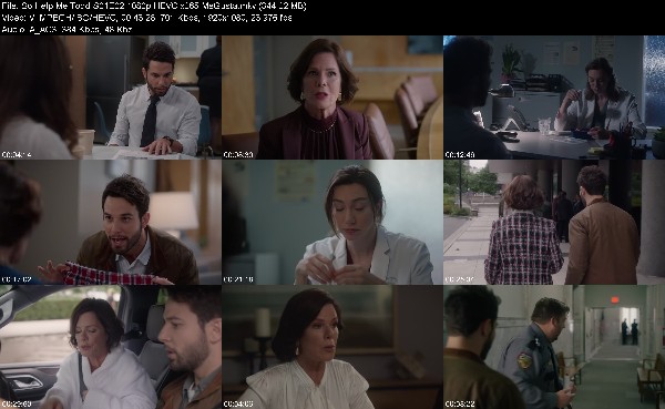 310659776_so-help-me-todd-s01e02-1080p-hevc-x265-megusta.jpg
