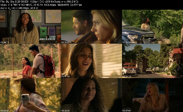 307439503_big-sky-2020-s03e01-1080p-hevc-x265-megusta.jpg