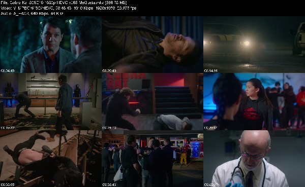304828377_cobra-kai-s05e10-1080p-hevc-x265-megusta.jpg