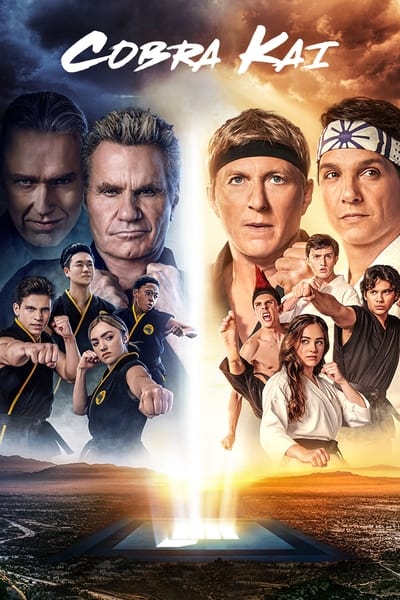 304719538_cobra-kai-s05e01-1080p-hevc-x265-megusta.jpg