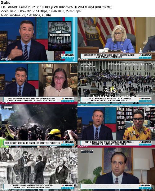 289230611_msnbc_prime_2022_06_10_1080p_webrip_x265_hevc-lm.jpg