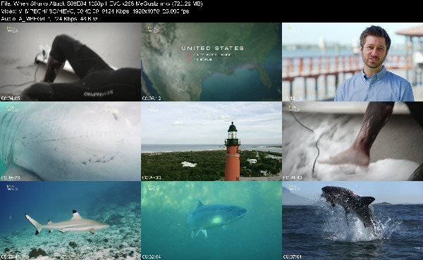 310555385_when-sharks-attack-s08e04-1080p-hevc-x265-megusta.jpg