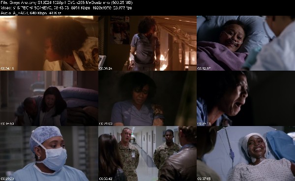313401511_greys-anatomy-s13e24-1080p-hevc-x265-megusta.jpg