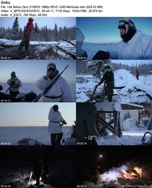 299957147_life-below-zero-s16e03-1080p-hevc-x265-megusta.jpg