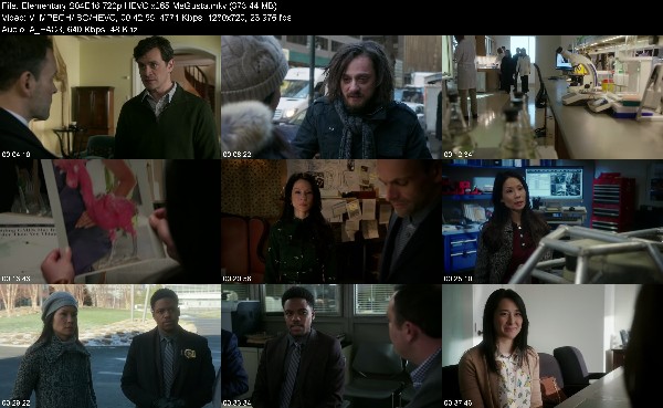 310812955_elementary-s04e16-720p-hevc-x265-megusta.jpg