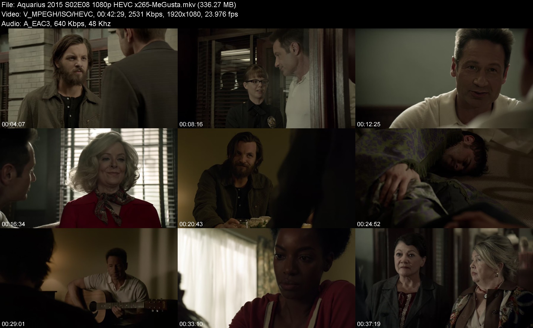 301981453_aquarius-2015-s02e08-1080p-hevc-x265-megusta.jpg