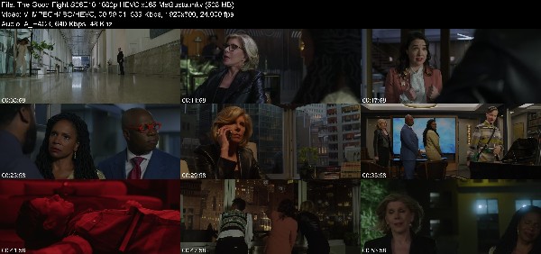 317940613_the-good-fight-s06e10-1080p-hevc-x265-megusta.jpg
