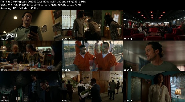 308382737_the-cleaning-lady-s02e02-720p-hevc-x265-megusta.jpg