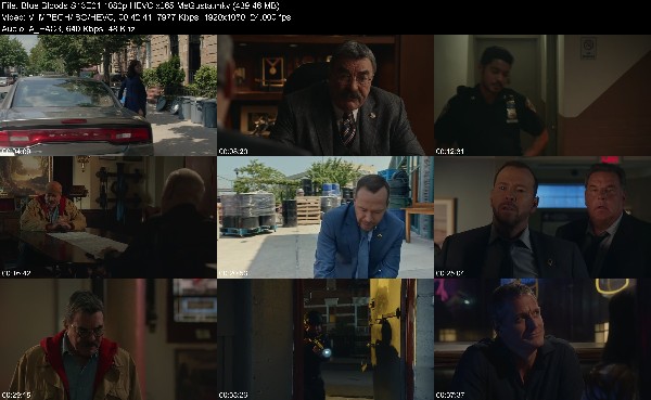 311078745_blue-bloods-s13e01-1080p-hevc-x265-megusta.jpg