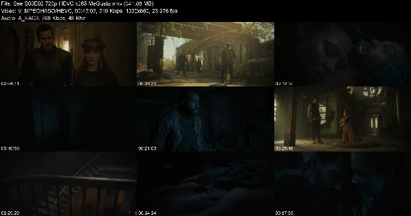 303517404_see-s03e02-720p-hevc-x265-megusta.jpg