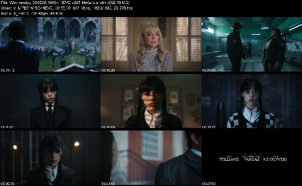 320366880_wednesday-s01e05-1080p-hevc-x265-megusta.jpg