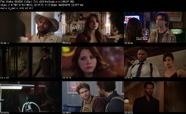 318241427_walker-s03e06-1080p-hevc-x265-megusta.jpg