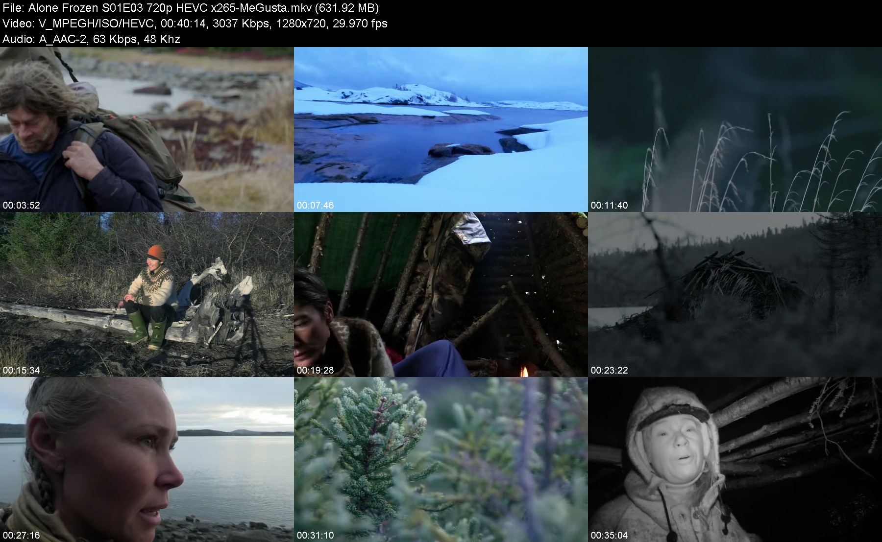 302342570_alone-frozen-s01e03-720p-hevc-x265-megusta.jpg