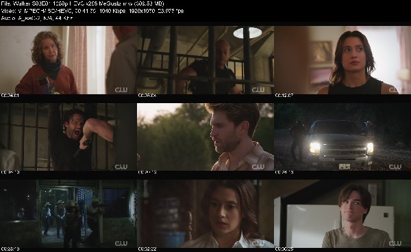 310796244_walker-s03e01-1080p-hevc-x265-megusta.jpg