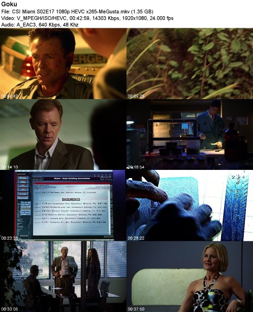 293199611_csi-miami-s02e17-1080p-hevc-x265-megusta.jpg