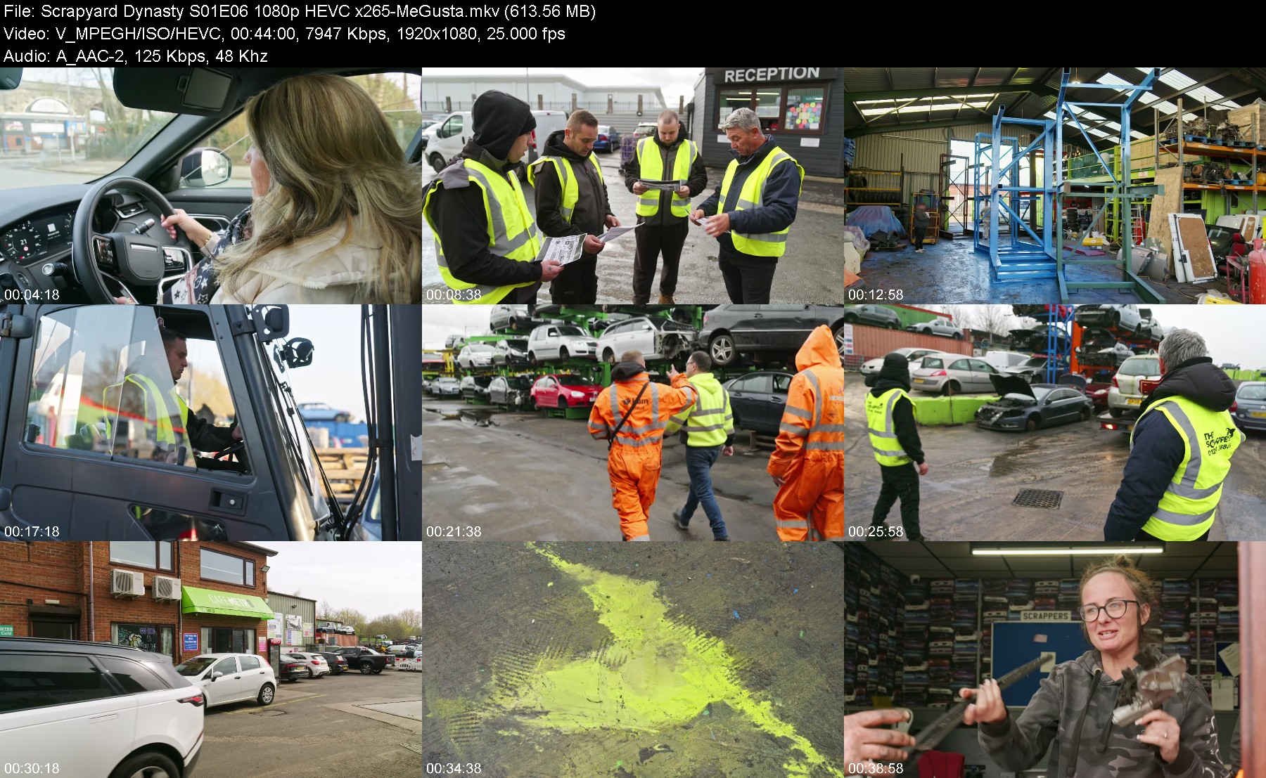 300629957_scrapyard-dynasty-s01e06-1080p-hevc-x265-megusta.jpg