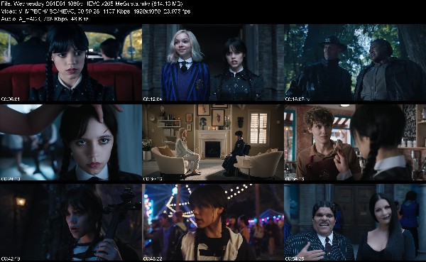 320366942_wednesday-s01e01-1080p-hevc-x265-megusta.jpg