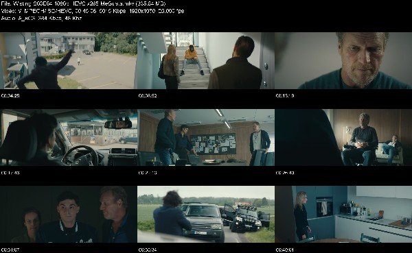 316083680_wisting-s03e04-1080p-hevc-x265-megusta.jpg