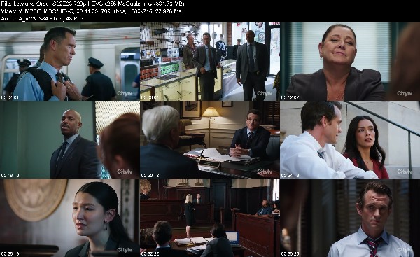 310658751_law-and-order-s22e03-720p-hevc-x265-megusta.jpg