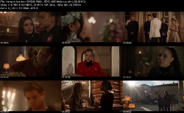 309035884_vampire-academy-s01e06-1080p-hevc-x265-megusta.jpg