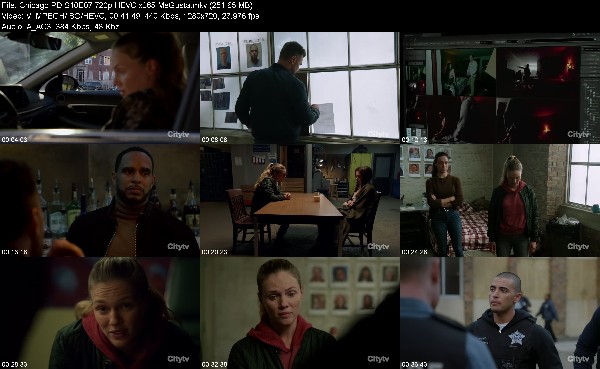 317927721_chicago-pd-s10e07-720p-hevc-x265-megusta.jpg
