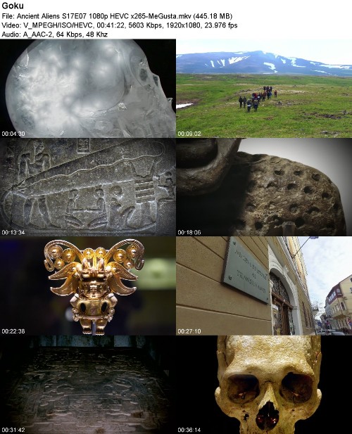 293917653_ancient-aliens-s17e07-1080p-hevc-x265-megusta.jpg