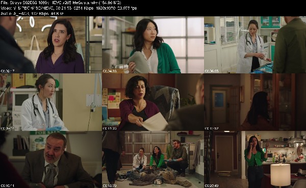 316150516_strays-s02e08-1080p-hevc-x265-megusta.jpg