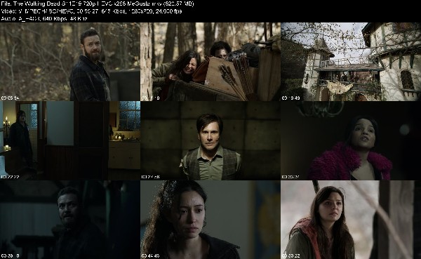 311610110_the-walking-dead-s11e19-720p-hevc-x265-megusta.jpg