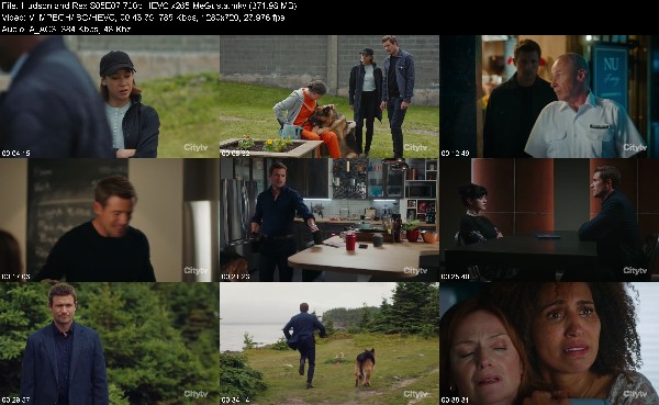 317132136_hudson-and-rex-s05e07-720p-hevc-x265-megusta.jpg