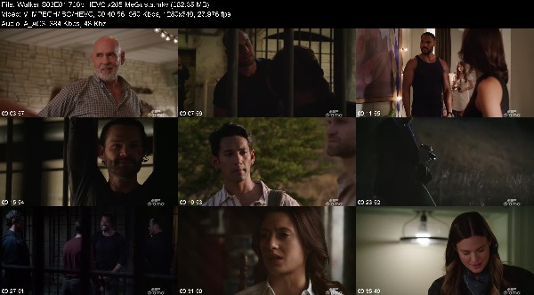 310659270_walker-s03e01-720p-hevc-x265-megusta.jpg