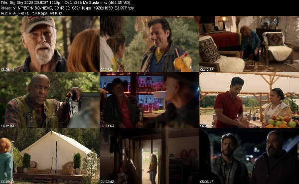 316402659_big-sky-2020-s03e07-1080p-hevc-x265-megusta.jpg