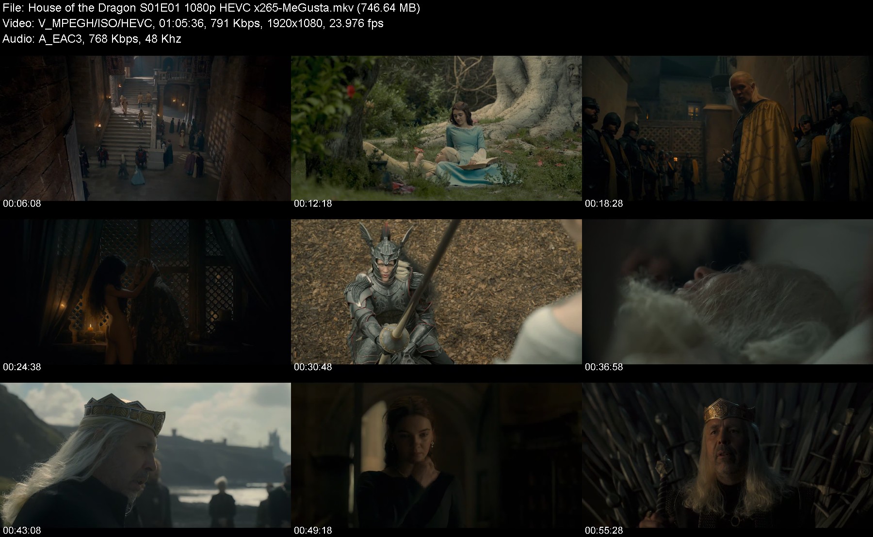 301812774_house-of-the-dragon-s01e01-1080p-hevc-x265-megusta.jpg