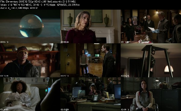 310781383_elementary-s01e12-720p-hevc-x265-megusta.jpg