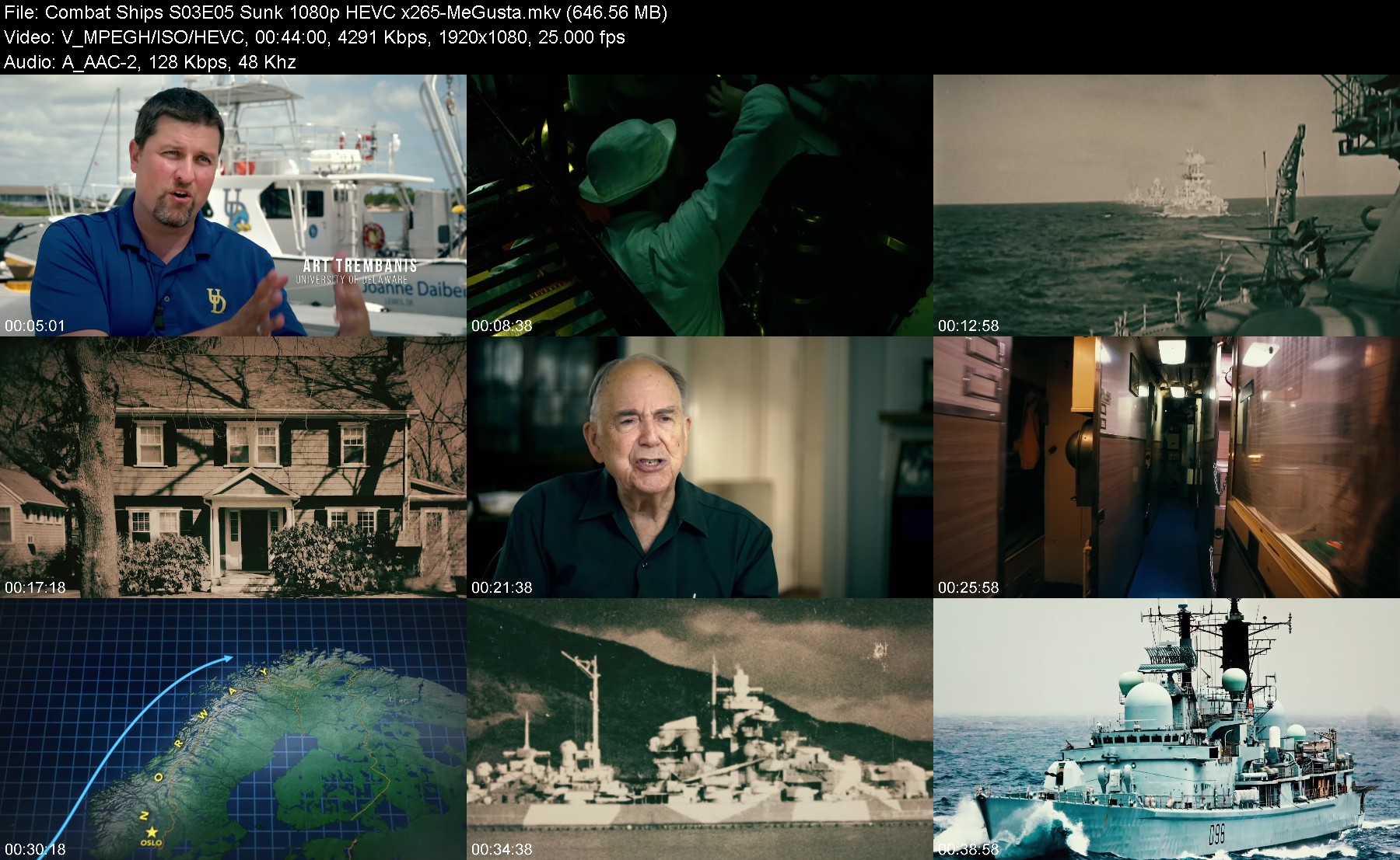 302521043_combat-ships-s03e05-sunk-1080p-hevc-x265-megusta.jpg