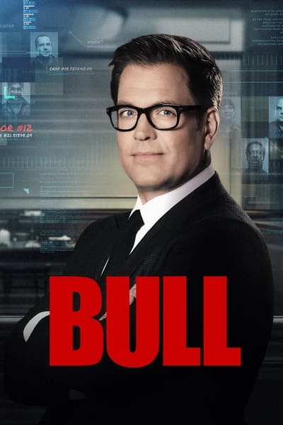 313587673_bull-2016-s02e20-1080p-hevc-x265-megusta.jpg