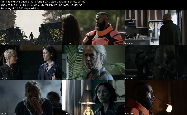309412356_the-walking-dead-s11e17-720p-hevc-x265-megusta.jpg