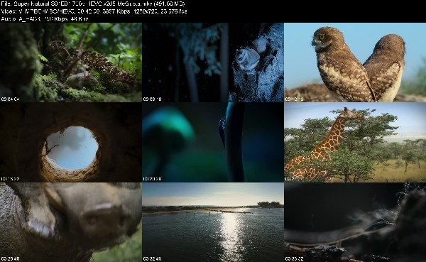 307269845_super-natural-s01e01-720p-hevc-x265-megusta.jpg