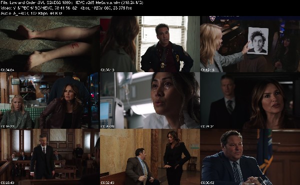 319701035_law-and-order-svu-s24e08-1080p-hevc-x265-megusta.jpg
