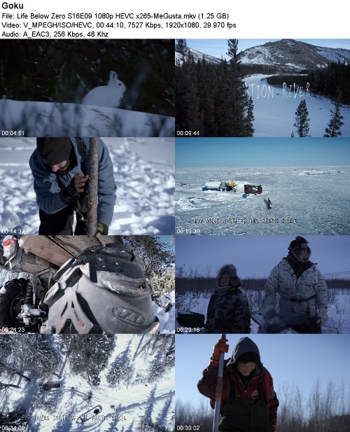 299987883_life-below-zero-s16e09-1080p-hevc-x265-megusta.jpg