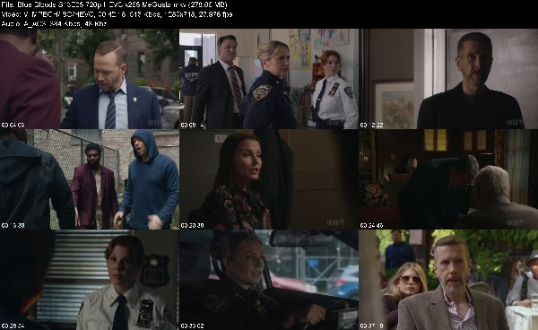 316635201_blue-bloods-s13e05-720p-hevc-x265-megusta.jpg