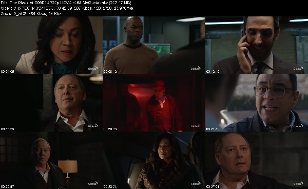 313709566_the-blacklist-s09e16-720p-hevc-x265-megusta.jpg