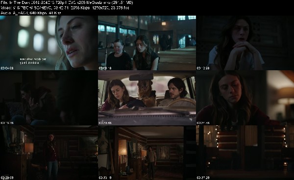 304447721_in-the-dark-2019-s04e13-720p-hevc-x265-megusta.jpg