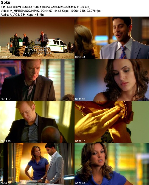 293204359_csi-miami-s05e13-1080p-hevc-x265-megusta.jpg