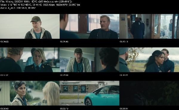 316068213_wisting-s03e01-1080p-hevc-x265-megusta.jpg