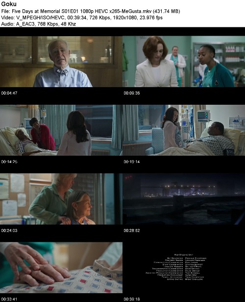 299490592_five-days-at-memorial-s01e01-1080p-hevc-x265-megusta.jpg