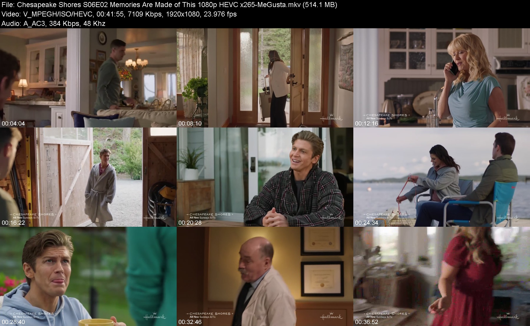 301684269_chesapeake-shores-s06e02-memories-are-made-of-this-1080p-hevc-x265-megusta.jpg