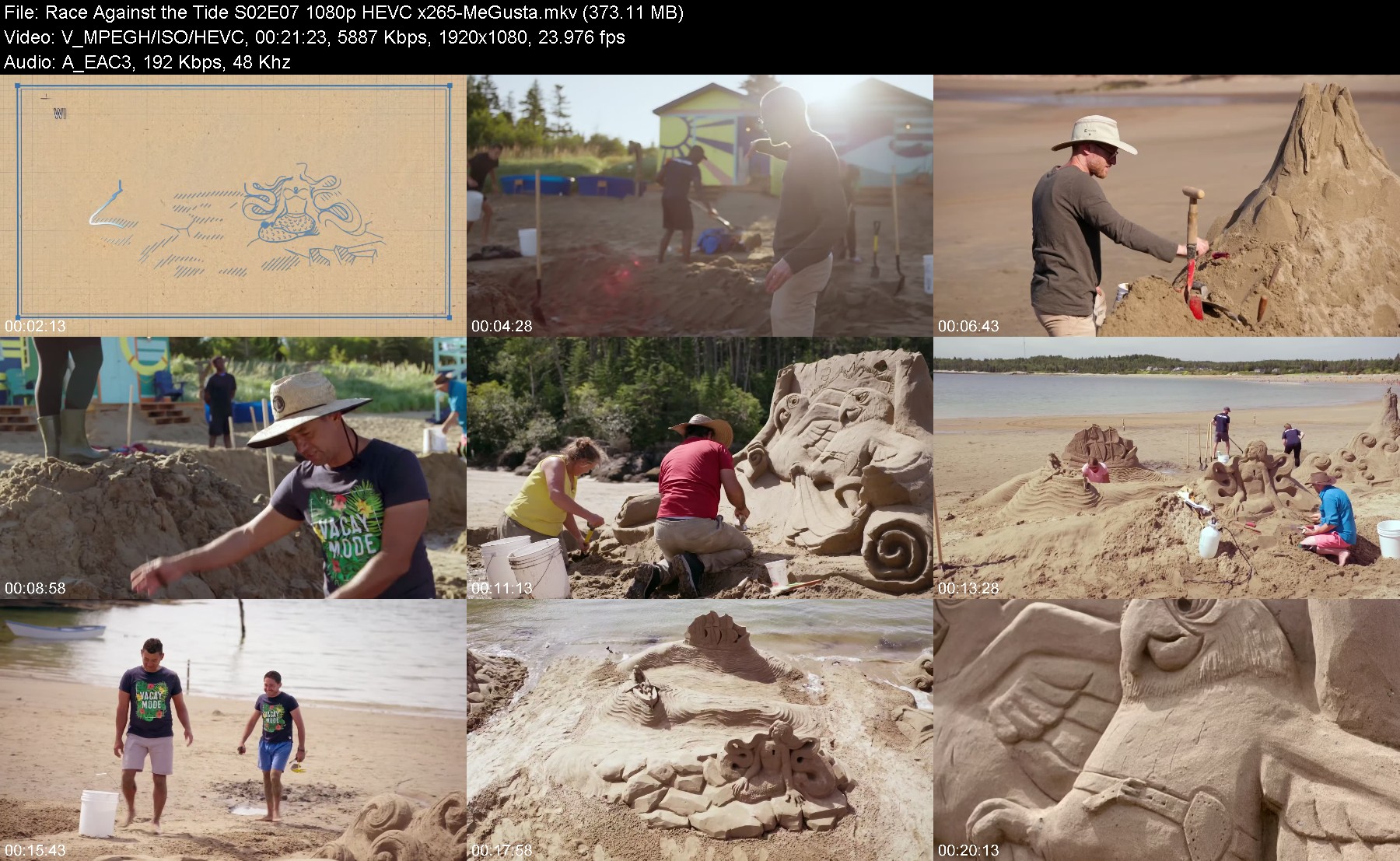 301833547_race-against-the-tide-s02e07-1080p-hevc-x265-megusta.jpg
