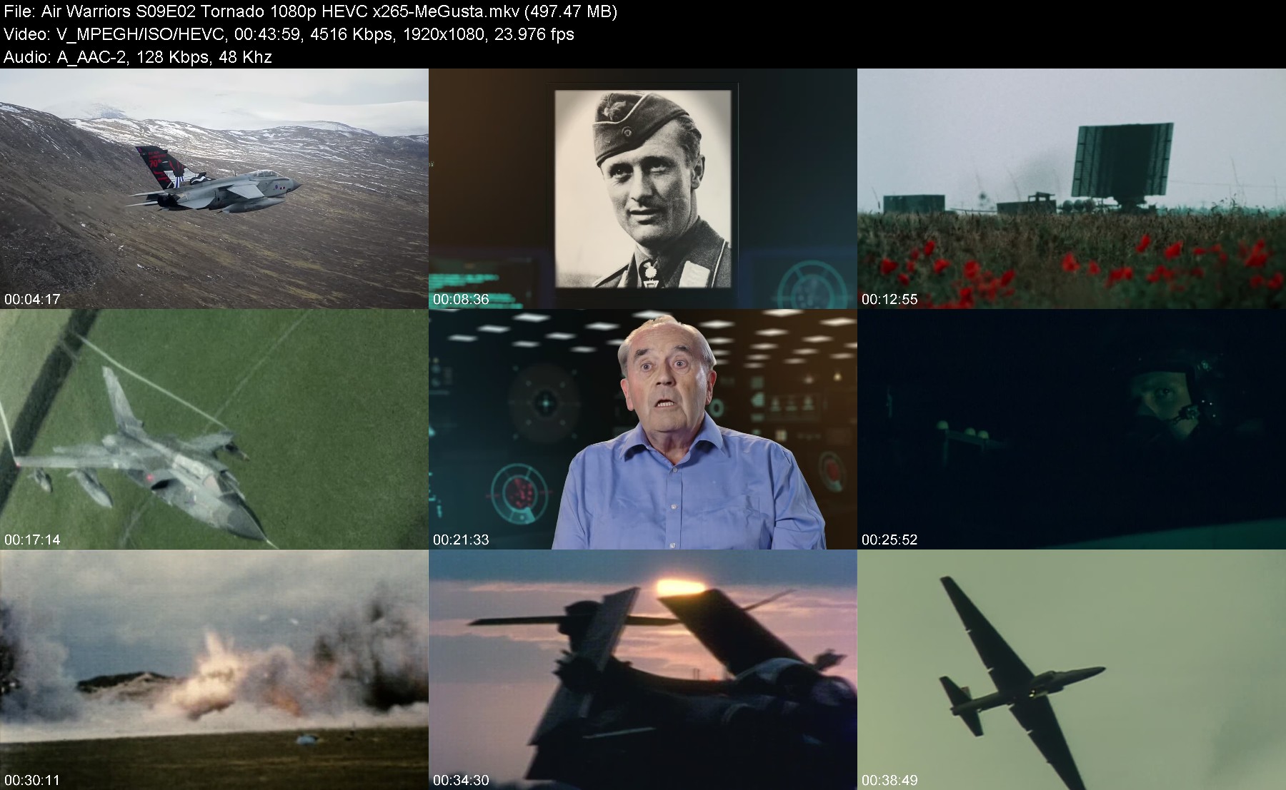 302488152_air-warriors-s09e02-tornado-1080p-hevc-x265-megusta.jpg